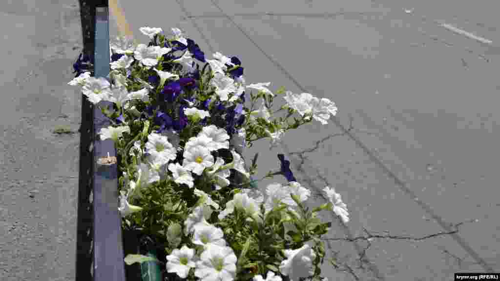 В центре города на ограждениях вновь появились вазоны с цветами. Впервые их установили в прошлом году