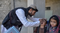 د پولیو یو واکسیناتور د ماشومانو د واکسینولو پر مهال 