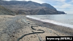 Улавливающие мазут сети на пляже Меганом