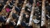 Bulgaria: parlamentul amendează legea privind starea de urgență