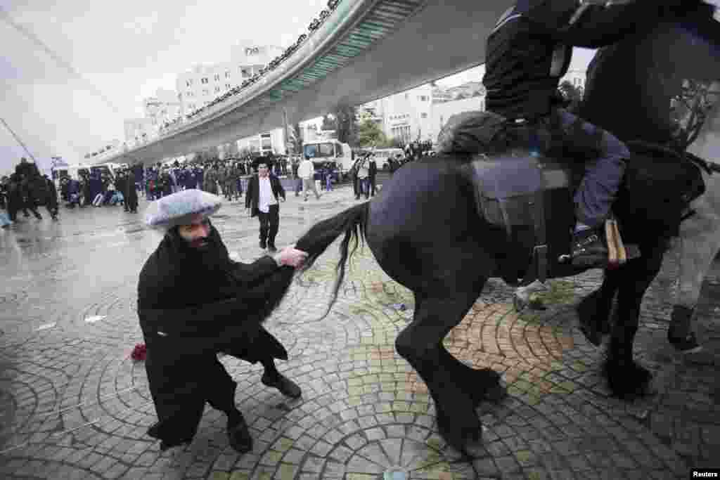 An ultra-Orthodox Jewish protester pulls the tail of a horse used by policemen to disperse protesters during a demonstration in Jerusalem over an Israeli government decision to cut funds to seminary students who avoid military service on February 6. (Reuters/Baz Ratner)