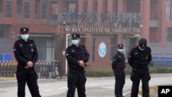 Obezbjeđenje u blizini ulaza u Institut za virusologiju u Wuhanu tokom posjete tima Svjetske zdravstvene organizacije 3. februara 2021. 