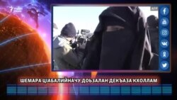 Шемара цIабалийначу доьзалан декъаза кхоллам