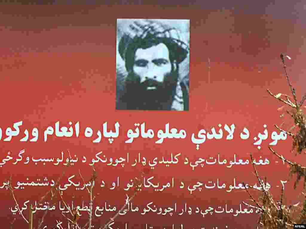 Rrënjët e talibanëve #5