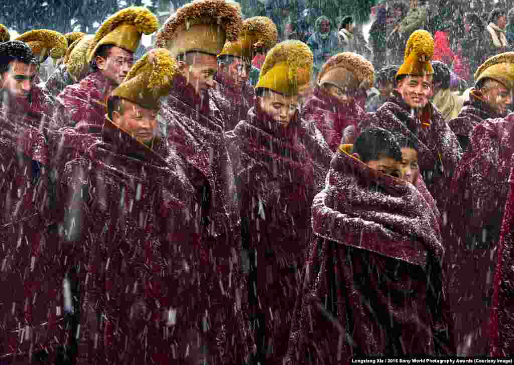 Photographer&nbsp;Longxiang Xie of China:&nbsp;Snowing Heavily Buddhist monks walking to a ceremony in heavy snow at the Langmu Temple, China &nbsp;