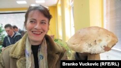 Sa izložbe gljiva u Kragujevcu, foto: Branko Vučković
