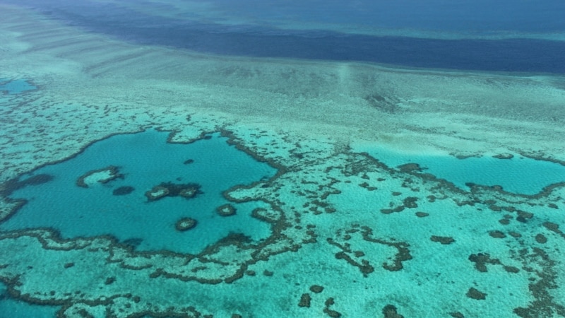 ОН – Големиот корален гребен треба да се стави на листата на загрозено светско наследство