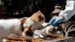 Ilustrativna fotografija