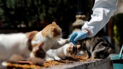 Ilustrativna fotografija