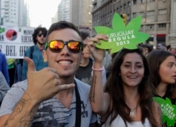 Демонстрация за легализацию марихуаны в Монтевидео, 10 декабря