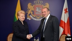 Новый президент Грузии Георгий Маргвелашвили и президент Литвы Даля Грибаускайте