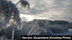 Ілюстрацыйнае фота