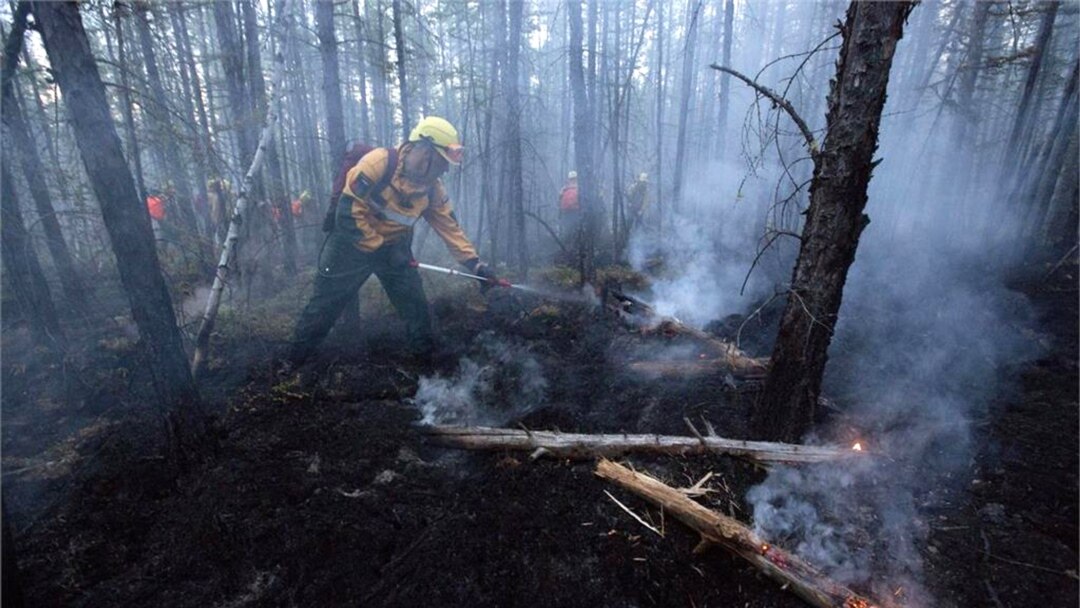 74a55055-f623-4708-81e8-