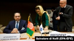 صلاح الدین رباني.