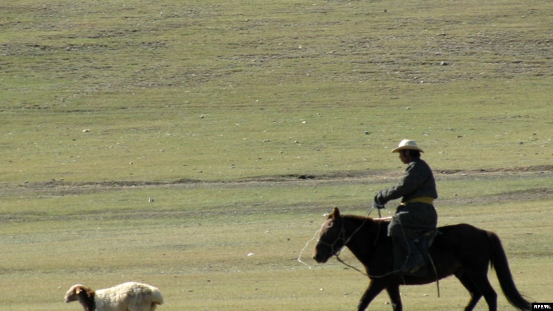 A Mongolian herder chases the one that got away.