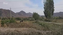 Табодули манзилу замин миёни Тоҷикистону Қирғизистон тақрибан ба анҷом расидааст