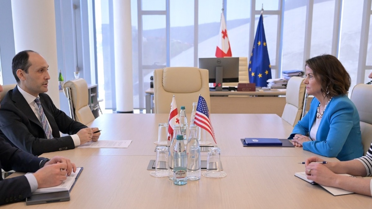 აშშ-ის ელჩი ლევან დავითაშვილს შეხვდა