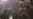 'Happy And Witty' Gets Mean And Nasty: Fan Melee Scuppers Tajik Youth Talent Show