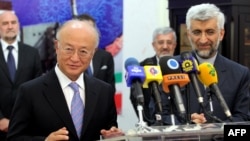 International Atomic Energy Agency chief Yukiya Amano with Iran's chief nuclear negotiator Said Jalili (file photo)