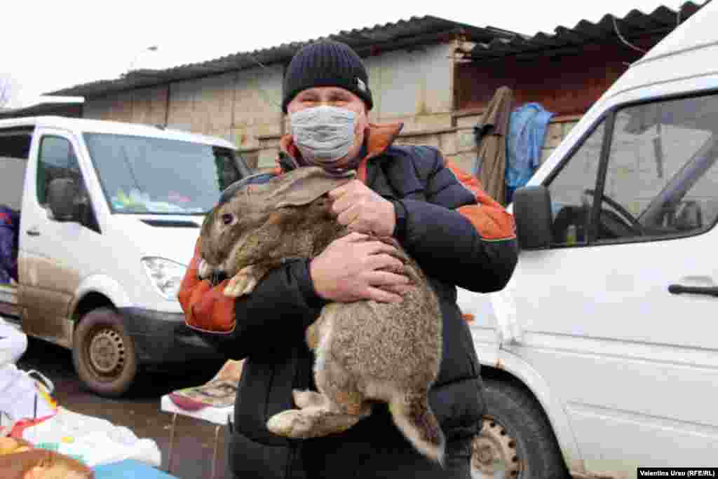 Din jurnalul de călătorie al Valentinei Ursu, la Fălești, unde mulți din localnici sunt de părere că, după ce Maia Sandu a devenit președinte, ar trebui organizate și alegeri parlamentare anticipate.