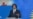 Փաշինյանը, Ալիևը, Օրբանը շնորհավորել են Կոբախիձեին