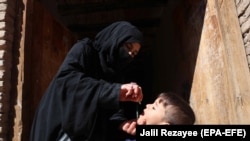 تصویر آرشیف: جریان تطبیق واکسین پولیو در ولایت هرات 