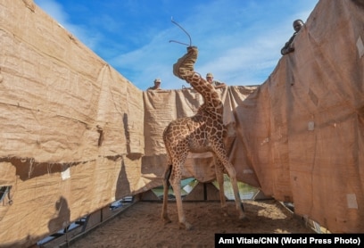 Мұғалімдер мен студенттер арасындағы жыныстық қатынас