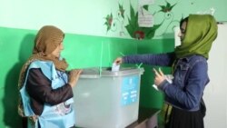 د ولسمشرۍ انتخاباتو ته د ځوانانو لېوالتیا!