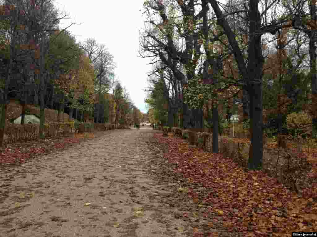 Венерчу паркехь.