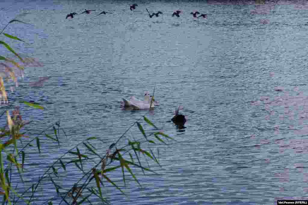 Озеро Столбище