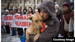 Animal rights activists in Daghestan are outraged at the fact that stray dogs in the Caucasus republic are being slaughtered, which they say is illegal under Russia's Criminal Code. (file photo)