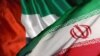 دیدار و مذاکرات مقامات ارشد گارد ساحلی امارات و ایران در تهران