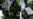 Belarus Officials Fired Over 'Bear Drop'