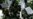 Minsk Recalls Entire Staff From Sweden