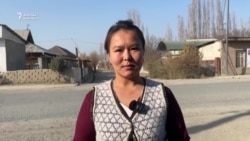 Шайлоочулардын суроосу: Миграция, жарык, билим берүү