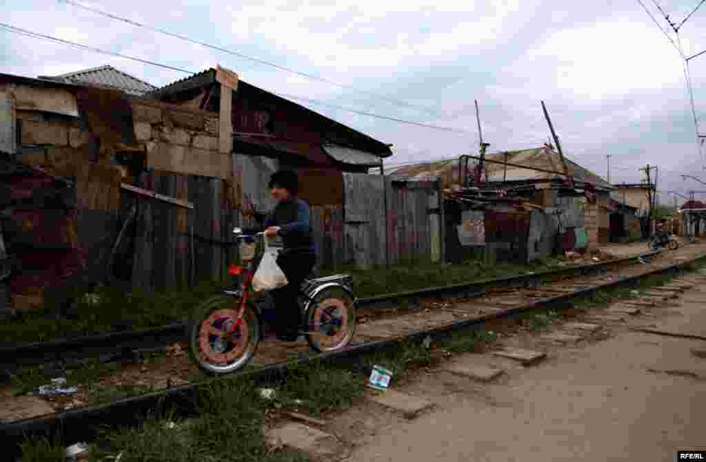 Bakının Şanxayı #14