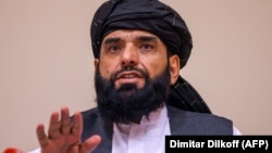 سهیل شاهین، رئیس دفتر سیاسی طالبان در قطر
