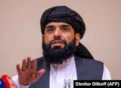 په دوحه کې د طالبانو د سیاسي دفتر مشر سهیل شاهین وايي د وسلوالو ضد مبارزې ته ژمن دی - پخوانی انځور.