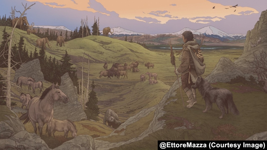 How Long Ago Did Dogs Domesticated