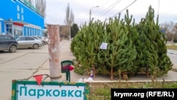 Елочный базар в Феодосии, архивное фото