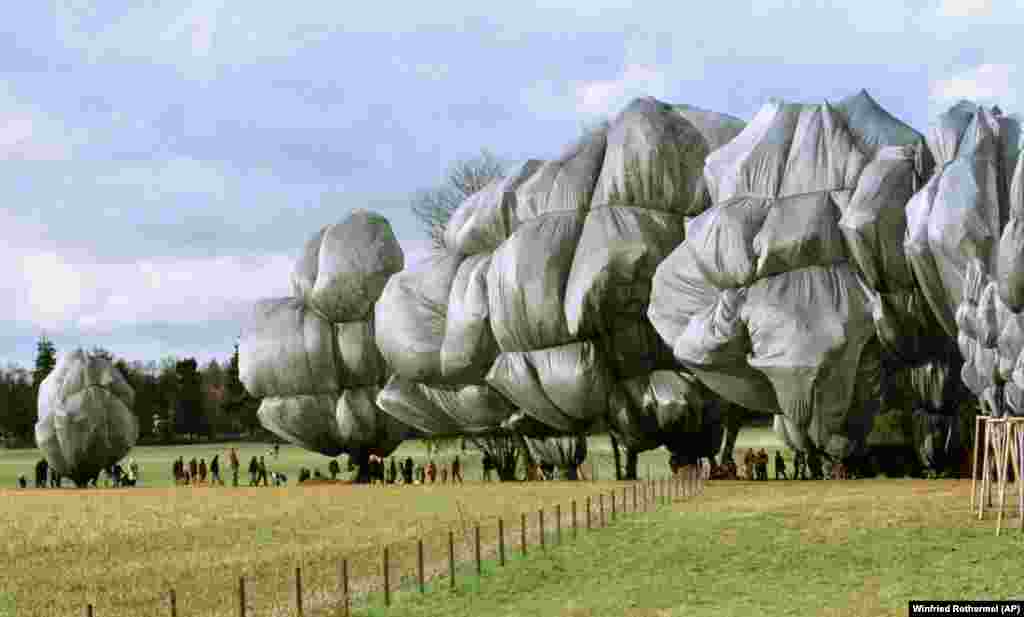 Visitors walk among the wrapped trees in Riehen, Switzerland.