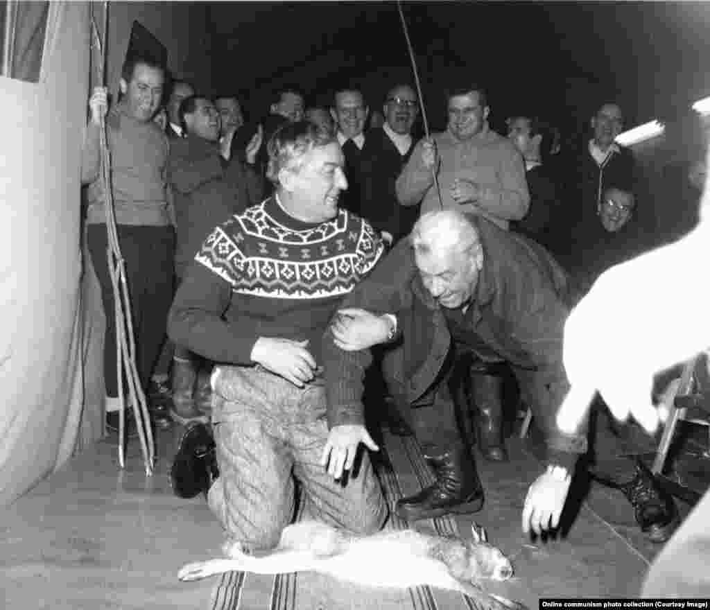 Oficialii români se pregătesc să fie bătuți cu un băț de Ceaușescu, în timp ce ei stau în fața unui iepure mort la o partidă de vânătoare în 1969.