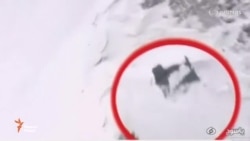 Ҳавопаймои сарнагуншудаи эрониро дар қуллаи кӯҳ пайдо карданд