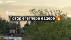 Казанда "Хәрәкәттә - бәрәкәт" бию проекты