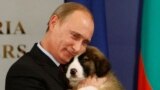 Președintele Vladimir Putin cu cadou de la premierul Bulgariei cu ani în urmă