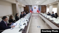 კონგრესიის თანამშრომელთა დელეგაციის შეხვედრა ლევან ჟორჟოლიანთან