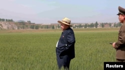Северокорейский лидер Ким Чен Ын на рисовом поле в одной из воинских частей Северной Кореи. Иллюстративное фото.