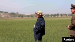 Kim Jong-un, în timpul vizitei sale la Ferma Nr. 1116, aflată sub conducerea Armatei Populare Coreene.