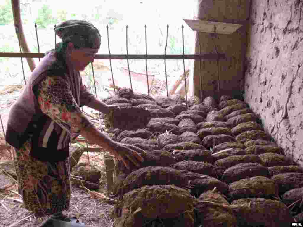 Uzbek Women Today #21