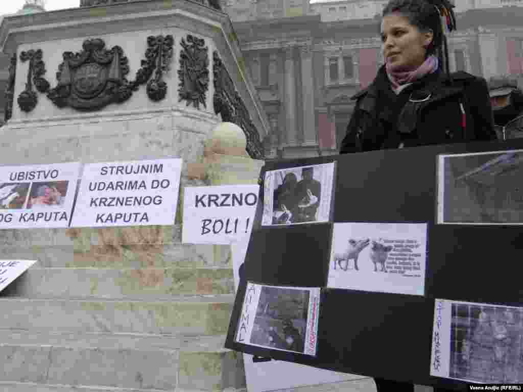 Aktivisti udruženja "Sloboda za životinje" organizirali su protest pod nazivom ¨Srbija bez krzna¨, 18.11.2011.